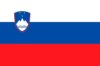 Slovenia flag Slovenia flag