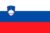 Slovenia flag Slovenia flag